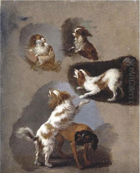 A Study Of Five Spaniels - view 1