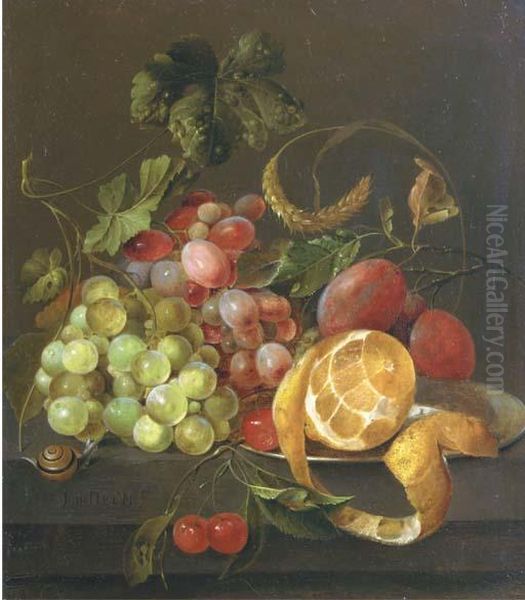 A Partly Peeled Orange On A
Pewter Platter With Grapes, Plums,cherries And A Snail, On A Stone Ledge - view 1