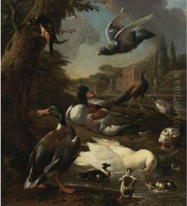 A Peacock, Pigeon, Ducks And Other Birds In A Garden Setting