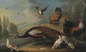 Still Life With Peacock And Fowl