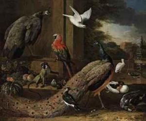 A Peacock, A Peahen, A Monkey And Other Birds On A Terrace
