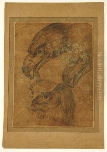 Study Of Birds Of Prey by Melchior de Hondecoeter