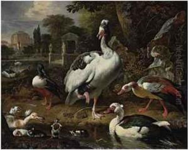 A Grey And White Crested Goose, A
 Shoveler, A Muscovy Duck,goslings, Ducklings And Other Fowl In A Park, 
Elegant Buildingsbeyond - view 1