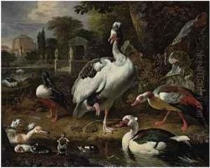 A Grey And White Crested Goose, A
 Shoveler, A Muscovy Duck,goslings, Ducklings And Other Fowl In A Park, 
Elegant Buildingsbeyond