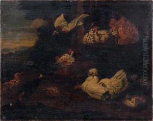 Scene De Basse-cour by Melchior de Hondecoeter