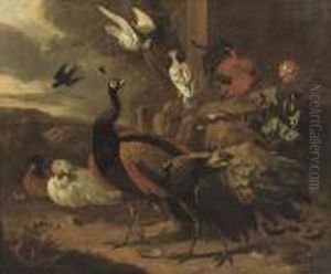 Peacocks, A Rooster, Pigeons And Other Birds Near A Ruinous Wall In A Rocky Landscape