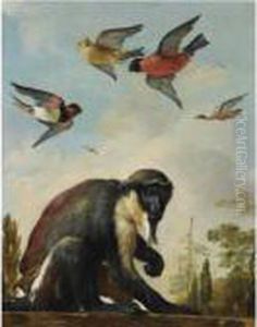 A Diana Monkey On A Chain In A Landscape With Four Colourful Birds In The Sky