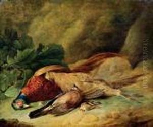 Stillleben Mit Toten Vogeln by Melchior de Hondecoeter