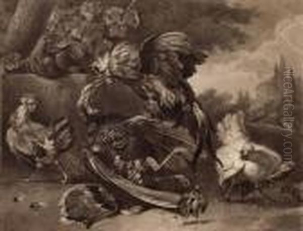 Kampfender Hahn Und Truthahn In Landschaft - view 1