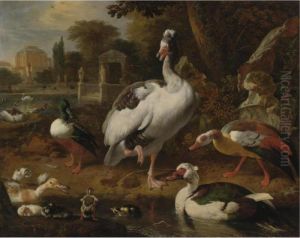 A Shoveler, A Grey And White 
Crested Goose, An Egyptian Goose, A Muscovy Duck And Other Waterfowl In A
 Park