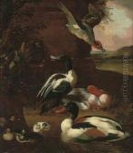 Wooded River Landscape With Muscovy Ducks In The Foreground Wooded River Landscape With Muscovy Ducks In The Foreground