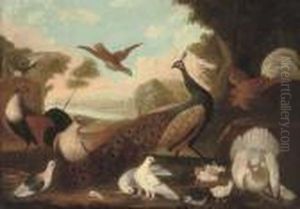 A Peacock, A Cockeral, A Hen And
Her Chicks, A Grouse And Other Foul In A Wooded River Landscape by Melchior de Hondecoeter