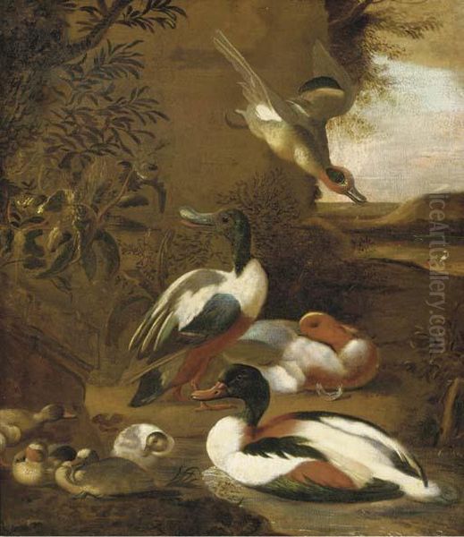 Ducks And Ducklings In A Hilly Landscape - view 1