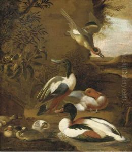 Ducks And Ducklings In A Hilly Landscape