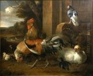 [groupe De Gallinacees] by Melchior de Hondecoeter