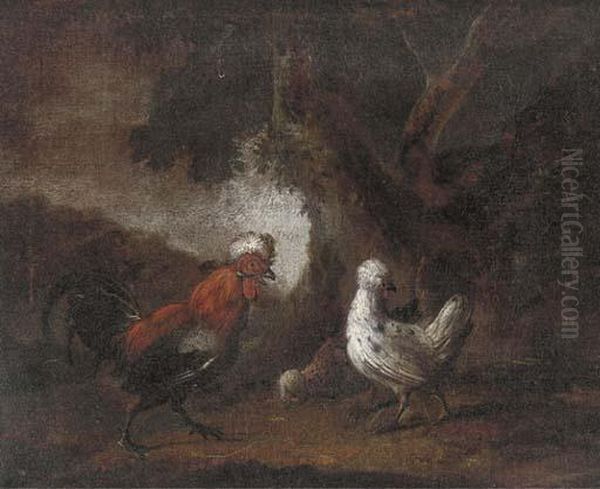 Foraging Chickens - view 1