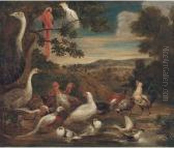 An Ostrich, Parrots, Turkeys, Woodcock, A Pheasant And Other Birdsin A Landscape - view 1