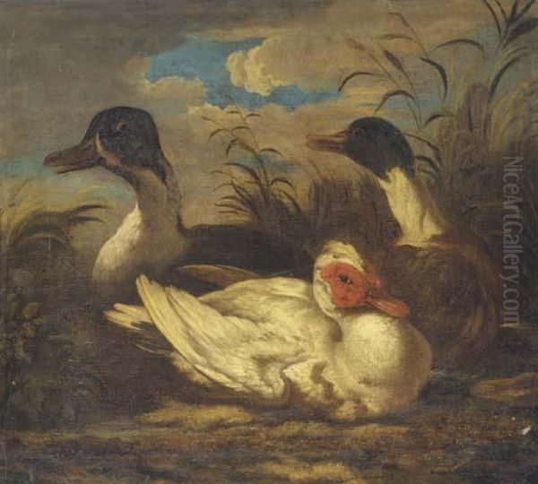 Trois Canards - view 1