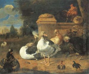 Canards Et Poules Dans Un Parc Canards Et Poules Dans Un Parc