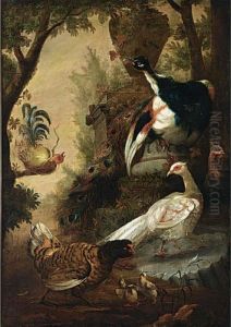 Peacocks And Other Birds In A Park Landscape by Melchior de Hondecoeter
