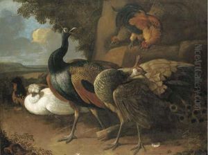 A Peacock, A Peahen, Poultry And Other Birds In A Rocky Landscape
