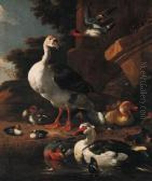 A Chinese Goose, An Egyptian
Goose, A Muscovy Duck, A Wigeon Andteal With Other Waterfowl By A Pond
Before A Pillar In A Park - view 1