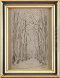 Chemin En Sous Bois by Emmanuel De La Villeon