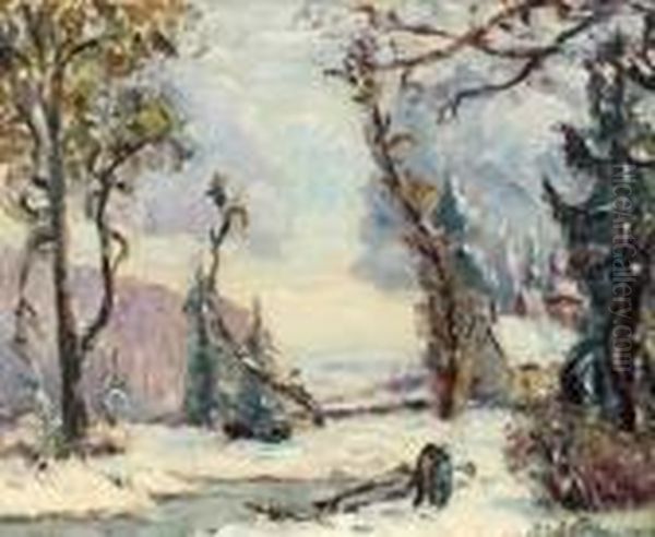 Neige A Pesselieres - view 1