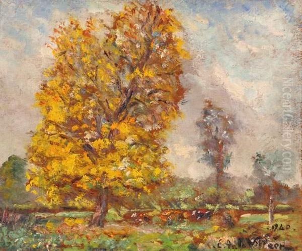 Arbres En Automne - view 1