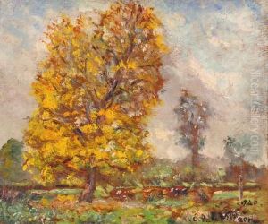 Arbres En Automne by Emmanuel De La Villeon