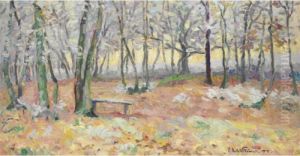 Neige Et Givre Dans Le Bois De Salvar Pres De Bilry by Emmanuel De La Villeon
