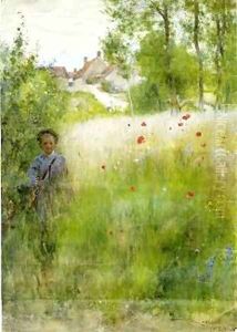 Boy in Meadow by Carl Larsson