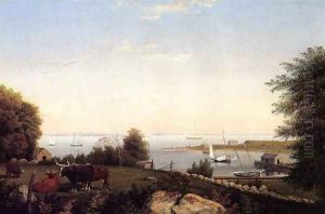 Gloucester from Brookbank