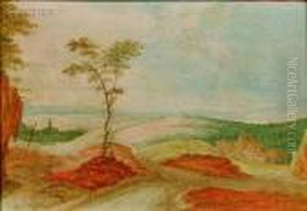 Landscape - view 1