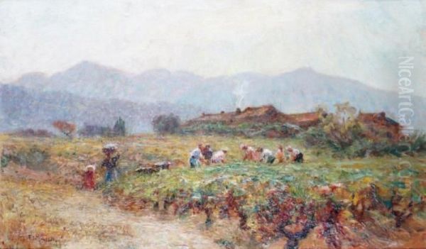 Les Vendanges A Ceyreste Pres De Laciotat - view 1