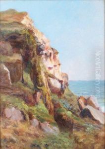 Falaise Pres D'audresselles Falaise Pres D'audresselles