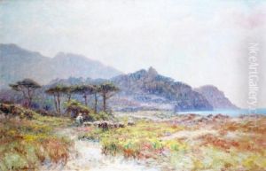 Berger Et Son Troupeau Dans Les Dunesfleuries Pres De La Ciotat Berger Et Son Troupeau Dans Les Dunesfleuries Pres De La Ciotat