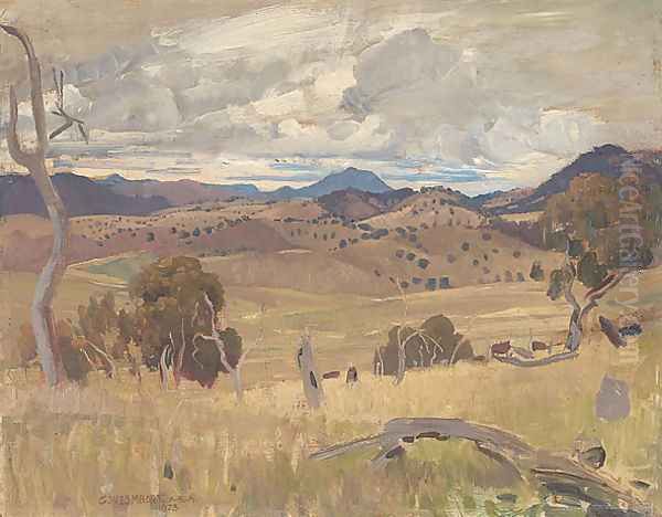 Michelago landscape - view 1