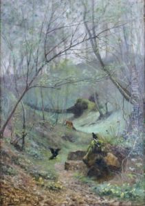 Pie Et Corbeau Dans Le Sous-bois