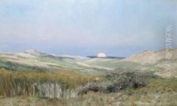 Coucher De Soleil Sur Les Dunes Deberck - view 1