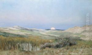 Coucher De Soleil Sur Les Dunes Deberck