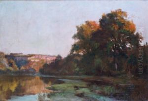 La Fosse Aux Bremes Pres De Houdon(loire-atlantique La Fosse Aux Bremes Pres De Houdon(loire-atlantique