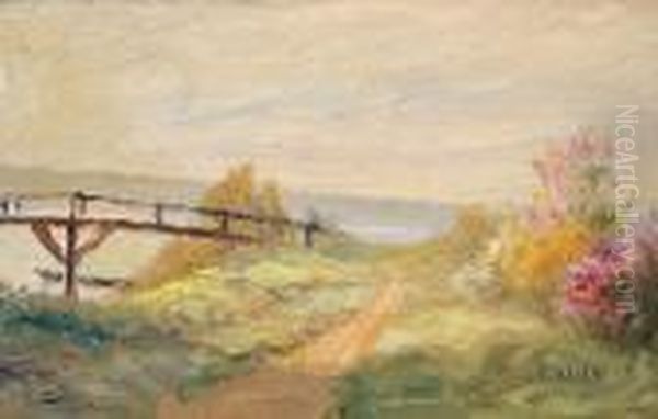 Fruhlingshafte Landschaft Mit 
Kleiner Holzbrucke Uber Von Bluhenden Buschen Flankiertem Fluss. - view 1