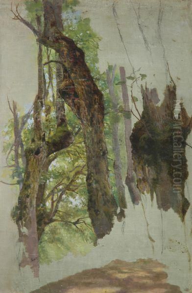 Bosco - view 1