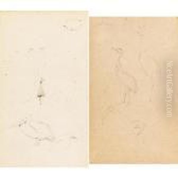 Studio Di Pavoni - view 1