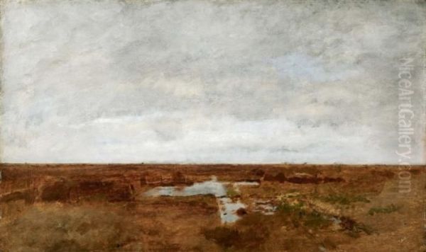 Tavoliere Delle Puglie (bufera Imminente) - view 1