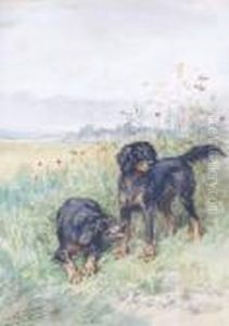 Les Setters Gordon by Charles Olivier De Penne