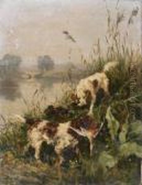 Deux Chiens De Chasse Au Marais - view 1
