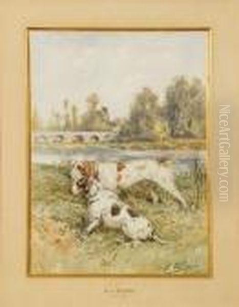 Chiens D'arret - view 1