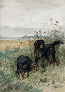 Etude De Deux Setters Gordon by Charles Olivier De Penne
